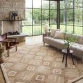 Varena rug styled in modern living room with large windows, sofa, and leather chair