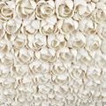 Virtu Chandelier glowing warmly with full illumination visible through shell layers