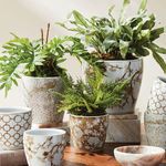 Product Image 7 for Province Flower Pots, Set Of 3 from Napa Home And Garden