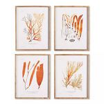 Product Image 1 for Coral Reef Study, Set Of 4 from Napa Home And Garden