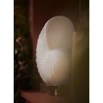 Product Image 2 for Large Nautilus Shell from Regina Andrew Design