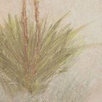 Close-up of green spiky leaves at the base of the yucca plant against the textured beige backdrop