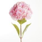 Product Image 2 for Mophead Hydrangea Stems , Set Of 4 from Napa Home And Garden
