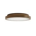 Product Image 1 for Aydan Flush Mount from Currey & Company