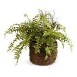 Product Image 1 for Boston Faux Fern Rustic Drop-In 12" from Napa Home And Garden