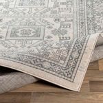Product Image 2 for Chester Beige / Medium Gray Rug from Surya
