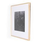 Product Image 8 for Floral Film Ii By Annie Spratt from Four Hands