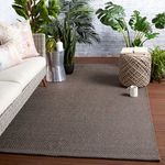 Styled living room setting with gray rug on wooden floor, wicker furniture and green plants