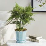 Product Image 5 for Maline Footed Pot from Napa Home And Garden