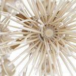 Product Image 2 for Winona Gold Ivory Coconut Chandelier from Arteriors