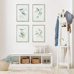 Product Image 3 for Blue Birds Prints, Set Of 4 from Napa Home And Garden