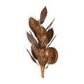 Product Image 4 for Weston Wall Sconce from Currey & Company