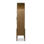 Product Image 35 for Tolle Panel Door Antique Brass Iron Cabinet from Four Hands