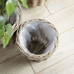 Product Image 7 for Arlette Basket Planters from Napa Home And Garden