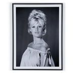 Product Image 7 for Pouting Brigitte Bardot By Getty Images from Four Hands
