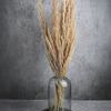 Product Image 4 for Long Natural Everlasting Dried Plants Bunch from BIDKHome