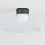 Lakeside Flush Mount ceiling light viewed from below showing full circular glass bowl and dark metal canopy