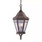 Product Image 1 for Morgan Hill Hanging Lantern from Troy Lighting