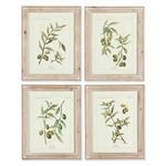 Framed Olive Leaf Botanical Prints, Set Of 4 image 1