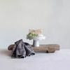 Product Image 3 for Rustic Wood Board from Creative Co-Op