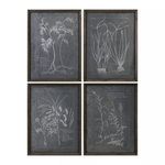 Product Image 2 for Uttermost Root Study Print Art S/4 from Uttermost