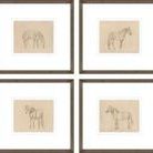 Product Image 1 for Studies of Form: Equine Series from Leftbank