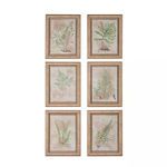 Product Image 1 for Fern Studies Ii from Elk Home