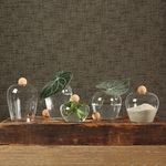 Product Image 1 for Sable Glass Jar With Cork Ball Stopper Clear from Homart