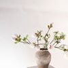 Product Image 8 for Esther Japanese Magnolia Blossoms - 37", Bundle of 2 from Napa Home And Garden