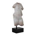 Product Image 1 for Cyprus Torso on Metal Stand from Currey & Company