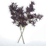 Product Image 2 for Maple Leaf Branches, Set of 2 from Napa Home And Garden