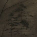 Close-up of tall slender trees with smoky, blurred charcoal-like texture