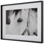 Product Image 4 for Eye of the Beholder Black & White Framed Horse Print from Uttermost