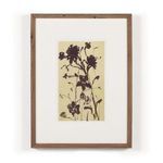 Product Image 9 for Meadow Rue Set by Shaina Page from Four Hands