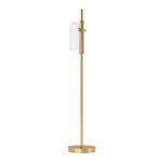 Odyssey 1 Light Floor Lamp with a tall burnished brass frame and a single elongated matte glass cylinder diffuser