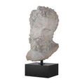 Product Image 1 for Hercules Head on Metal Stand from Currey & Company