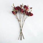Product Image 2 for Magnolia Stems, Set of 4 from Napa Home And Garden