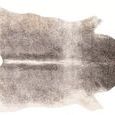 Flat overhead view highlighting full shape and gradient color from grey to ivory of the animal hide rug