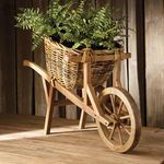 Product Image 2 for Boston Fern Drop-In from Napa Home And Garden