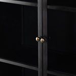 Tighter close-up of brass door knobs centered on glass-front doors of cabinet