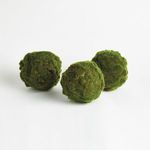Product Image 2 for Moss Orbs, Set of 3 from Napa Home And Garden