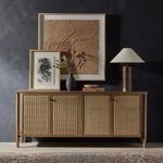 Product Image 20 for Veta Taupe Mango Wood Cane Sideboard from Four Hands