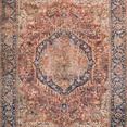 Traditional vintage style rug with a red and navy intricate medallion pattern and a blue floral border