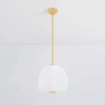 Scranton Pendant hanging against white wall from a front angle showing sleek organic shape and gold metal accents