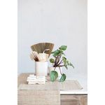 Product Image 3 for Rhea Stoneware Planters/Containers with Saucer, Set of 3 from Creative Co-Op