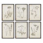 Product Image 1 for Wildflower Study, Set Of 6 from Napa Home And Garden