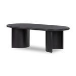Product Image 11 for Paden Aged Black Acacia Oval Coffee Table from Four Hands