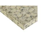 Product Image 4 for Shell Shock Tray from Wildwood Home