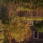 Reflected autumn trees with yellow leaves and green shrubs in water surface near rustic house