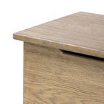 Product Image 11 for Quintin Trunk from Four Hands